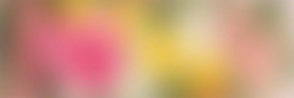 Soft gradient Banner with Smooth Blurred pink, yellow and green pastel colors Stock Illustration