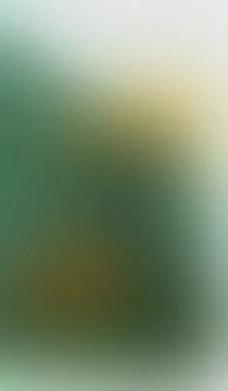 Soft gradient blend of green, yellow, and white tones. Subtle texture adds .. Stock Illustration