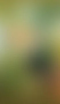 Soft gradient blends green, yellow, and warm tones. Muted hues evoke calm, .. Stock Illustration