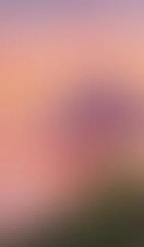 Soft gradient blends peach, purple, and muted gray tones. Blurry texture su.. Stock Illustration