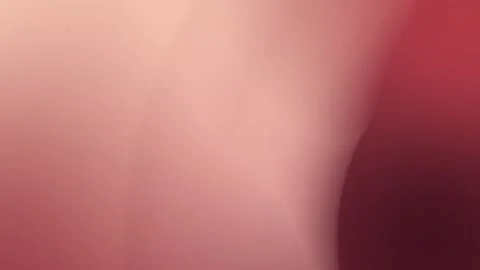 Soft gradient of pinks and reds with smooth, flowing curves. Seamless loop Vídeo Stock 309855726