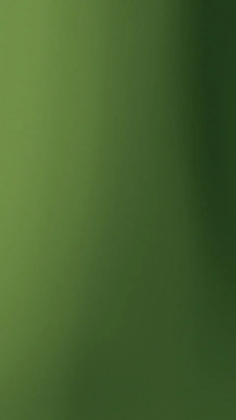 Soft gradient transitions in olive and forest green tones Stock Footage 336781714