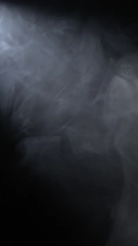 Soft Gradients And Diffused Lighting Highlight Textural Depth And Atmosphere Video stock 335848243
