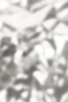 Soft gray abstract leaves pattern background with blurred silhouettes for serene Foto stock