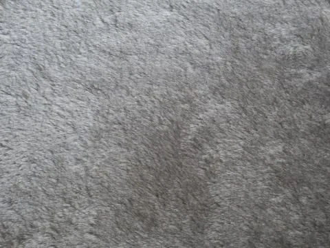 Soft gray backgound Stock Photos