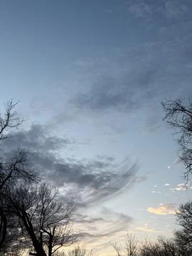 Soft Gray Clouds Above the Edge of a Bare Winter Tree Stock Photos