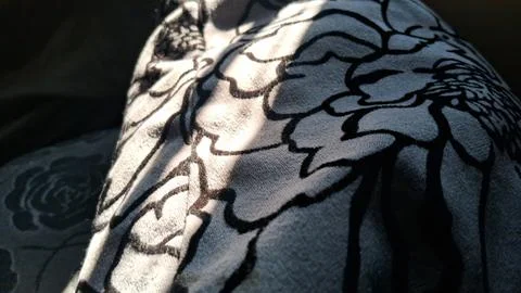 Soft gray fabric with bold black floral embroidery under sunlight Stock Photos