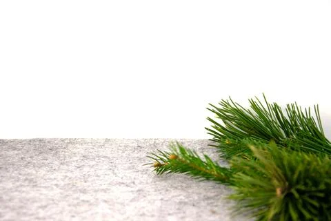 Soft, gray surface supports vibrant green pine branches, perfect for creating Stock Photos