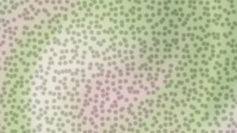Soft green and beige dotted bokeh texture abstract background Stock Footage 328877477