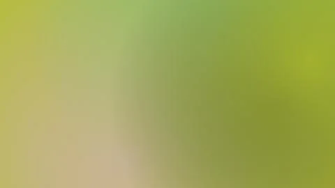 Soft Green and Cream Gradient Background with Smooth Abstract Blur Effect f.. Stock Illustration