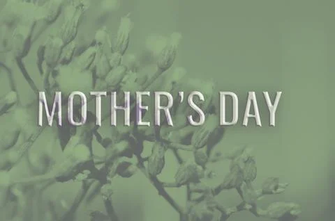Soft green background with delicate flower buds and bold Mother's Day text,.. Stock Illustration