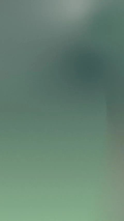 Soft green blur with grain texture. Seamless loop background. 4K. Stock Footage 309855877