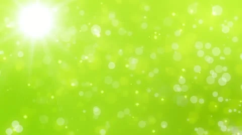 Soft green bokeh background Stock Footage 10883785