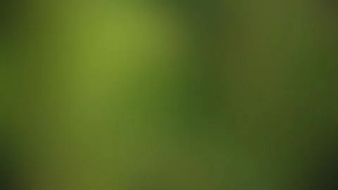 Soft Green Gradient Background With Subtle Texture abstract blur Stock Illustration