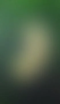 Soft green gradient fades from deep to pale hue. Texture resembles misted g.. Stock Illustration