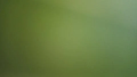 This soft green gradient serves as a versatile background for creative projec Stock Illustration