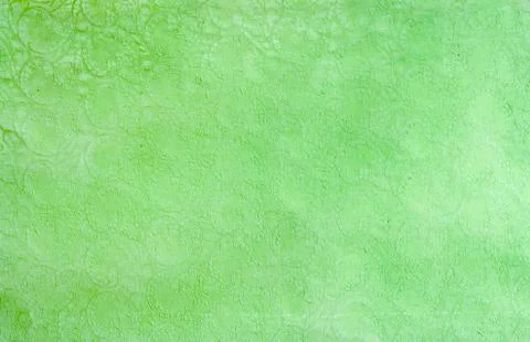 Soft green pattern line art background. Stock Photos