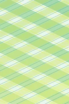 A soft green plaid pattern with diagonal stripes and subtle grid lines crea.. 스톡 일러스트