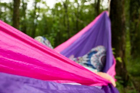 Soft hammock on trees in forest Stock Photos