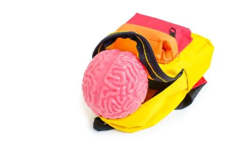 Soft Human Brain Model in a Vibrant Backpack Stockfoto's
