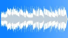 Soft Indie Folk 1.00Stock Music