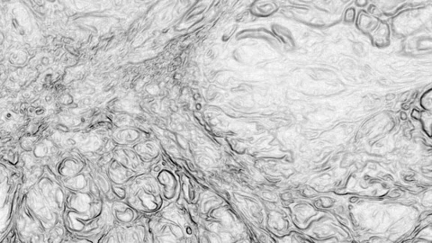 Soft Ink Diffusion on Paper Stock Footage 327994629
