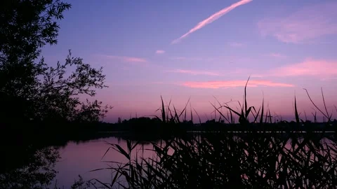 Soft landscape at dawn in front of a lake. Stock Footage 243694530