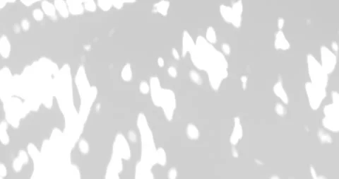Soft leaf shadow and sunlight reflections on light surface background, abst.. Stock Footage 348081571