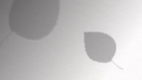 Soft Leaf Shadow moving acroos white paper background Stock Footage 337438828