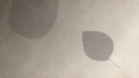Soft Leaf Shadow moving acroos yelow paper background Stock Footage 337438983