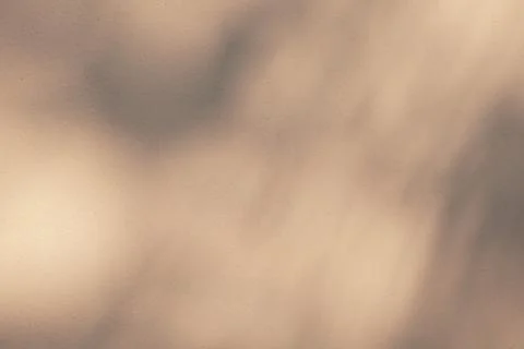 Soft Leaf Shadow Overlay on Warm Beige Texture Wall Background Stock Photos