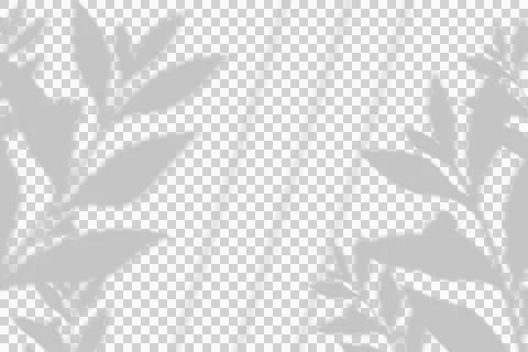 Soft leaf shadows and diagonal lines on a white background Stock Illustration