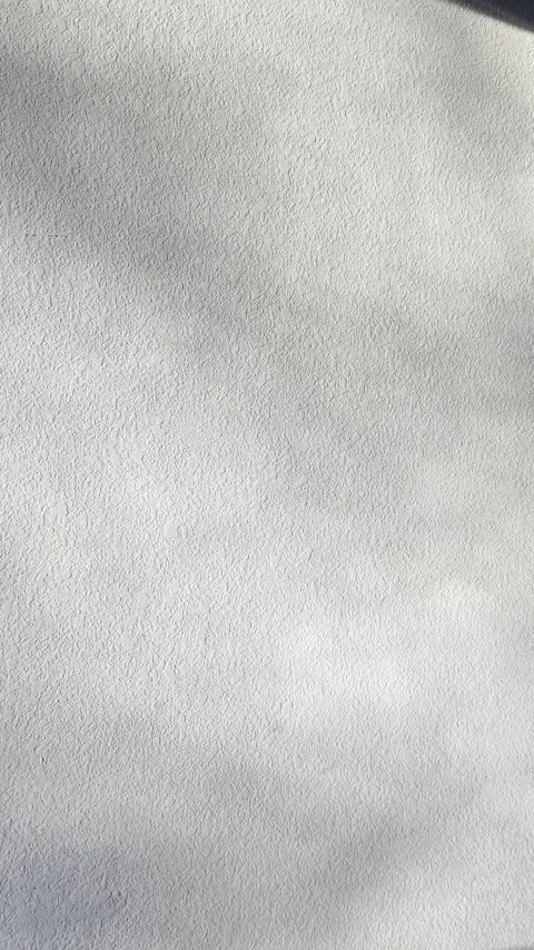 Soft Leaf Shadows Moving Over White Stucco Wall Video stock 344716970