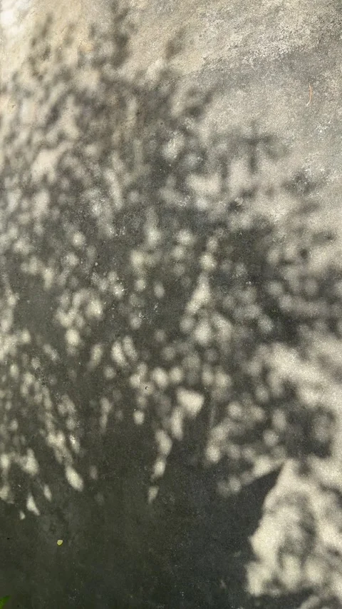 Soft leaf shadows moving on rough grey pavement with abstract grungy texture. Video stock 334620512