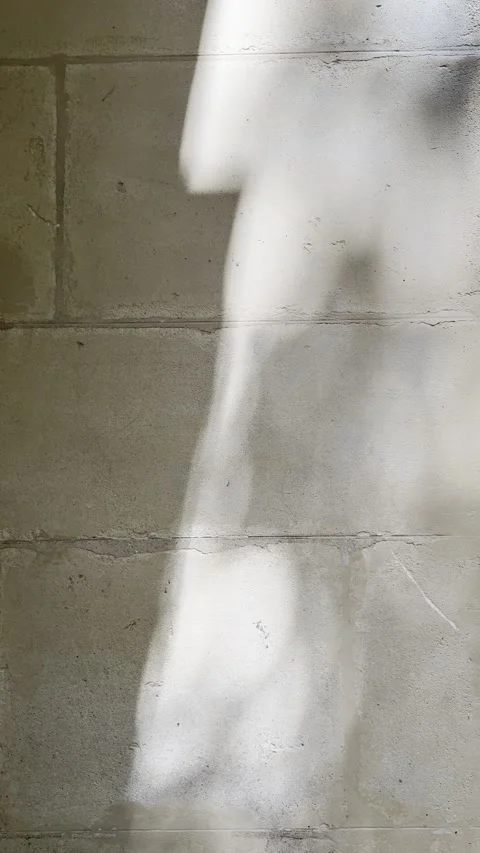 Soft Light and Shadows on Weathered Limestone Block Wall Close Up Stock Footage 339553290