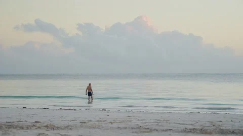 Soft light bathes calm beach at dawn Stock Footage 307718406