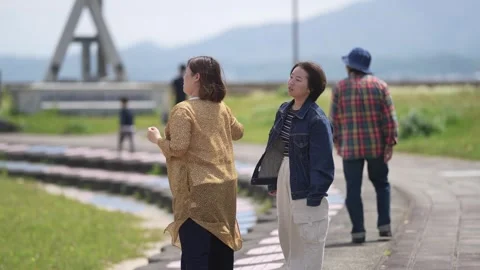 Soft light bathes a tranquil park path Vidéo 340009975