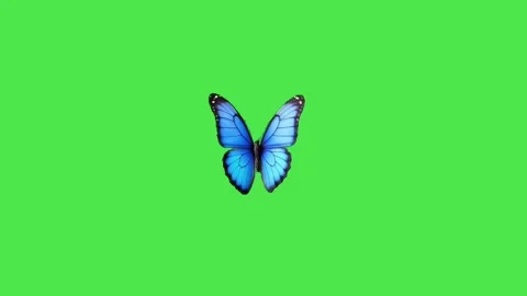 Soft Light Blue Bokeh Background with Floating Particles Stock-Footage 336713602