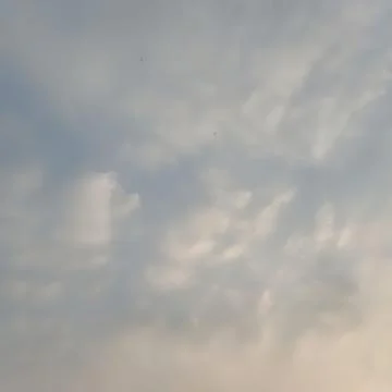 Soft light blue sky with wispy clouds and birds flying during daytime weather Stock Photos