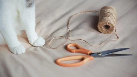 On the soft light fabric are items for sewing - rough hemp rope and modern sc Stock Photos