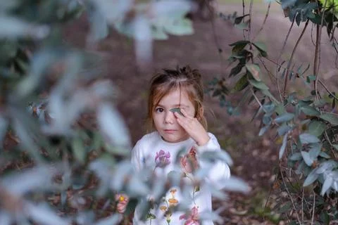 Soft light filters through leafy branches Stock Photos