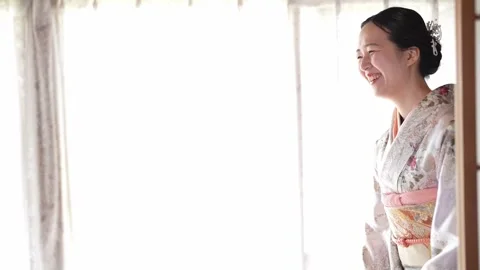 Soft light filters through sheer curtains Stock-Footage 341533670