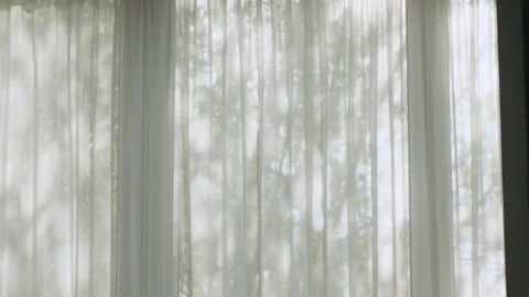 Soft light gently filtering through sheer curtains creates an inviting Stock Footage 318558354