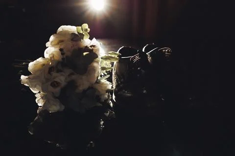 Soft light glows above delicate white flowers Stock Photos