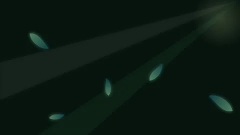 Soft light rays illuminating dark space with floating ethereal particles Video stock 338310282