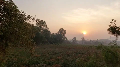 Soft light reflecting on the grass Stock Footage 263606628
