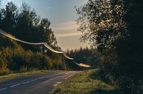 Soft light of the setting evening sun reflects on power lines along an asph.. Stock Photos