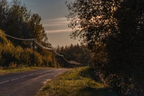 Soft light of the setting evening sun reflects on power lines along an asph.. Stock Photos