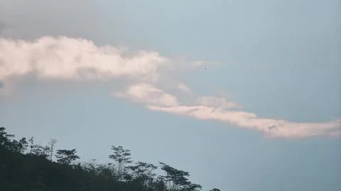 Soft Long Clouds Over Tree Silhouettes on Hill Ridge Stock Photo 库存照片