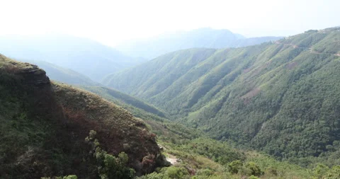 Soft mist drifts through the lush hills of Meghalaya 库存影片 335387790